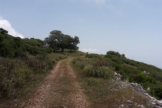 Tour image 14