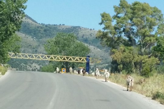 Tour image 2