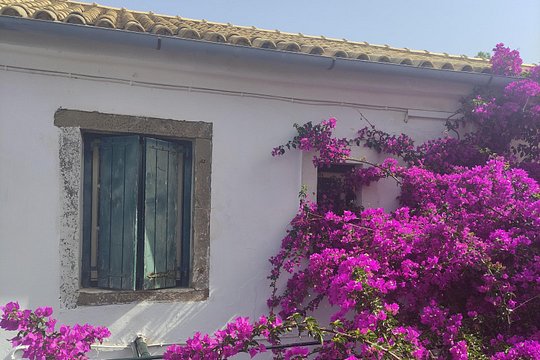 Tour image 10